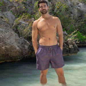 NWT Southern Marsh Bodrum Straits Line Swim Trunk Mountain Purple Sz L